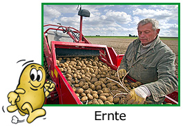 Kartoffelhof Peukmann-Ernte